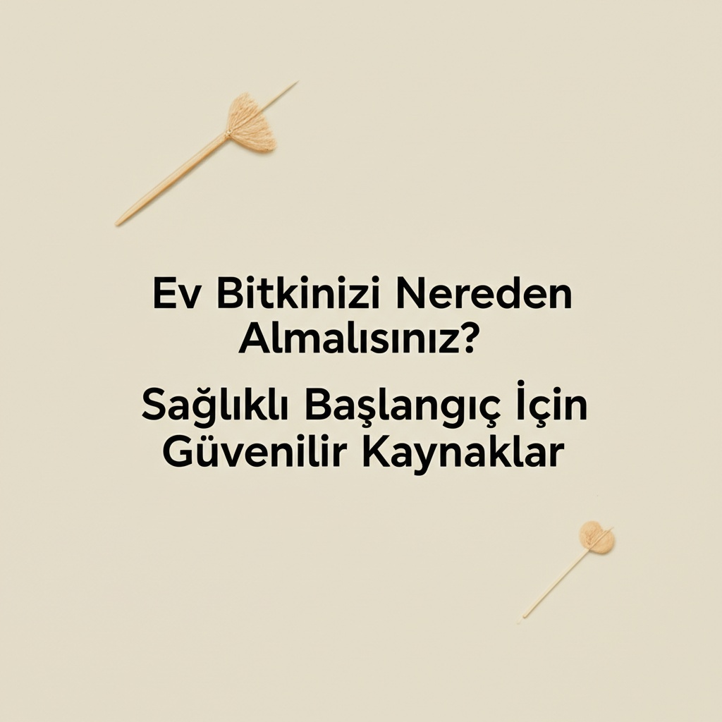 Ev Bitkinizi Nereden Almalısınız? Sağlıklı Başlangıç İçin Güvenilir Kaynaklar