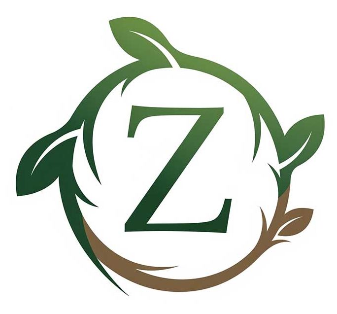 zvuzq.com